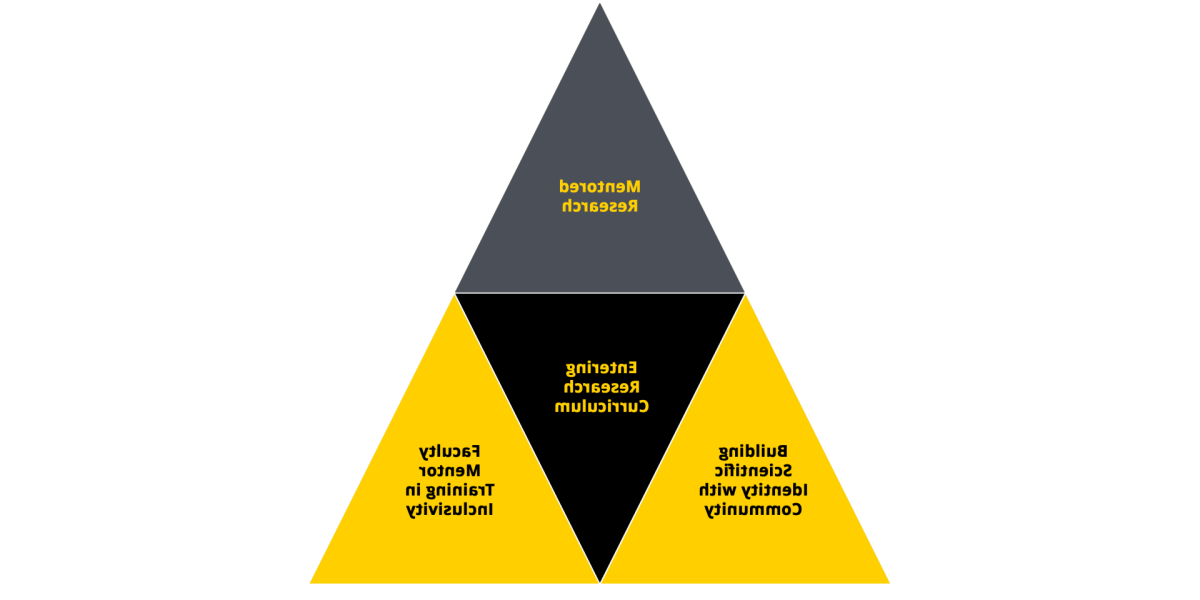 U-Rise Diagram: Mentored Research, Entering Research Curriculum, Building Scientific Identity, Faculty Mentor Training 